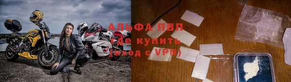 молекула духа Арсеньев