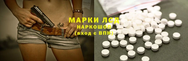 прущие грибы Аркадак