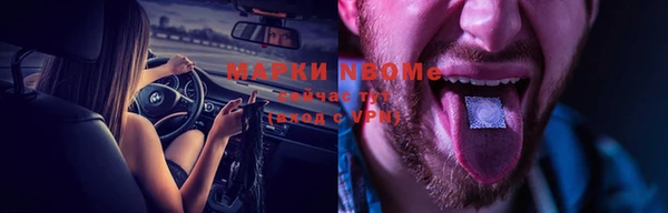 прущие грибы Аркадак