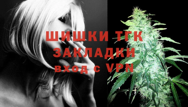 прущие грибы Аркадак