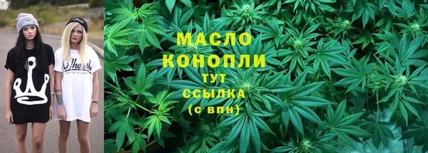 молекула духа Арсеньев
