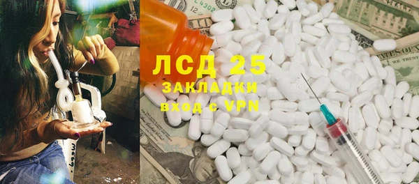 прущие грибы Аркадак
