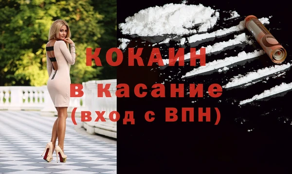 прущие грибы Аркадак