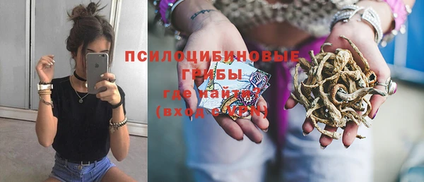 молекула духа Арсеньев