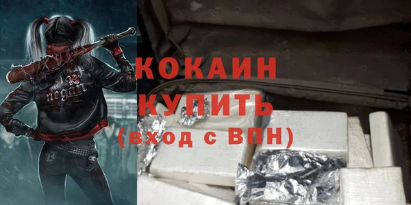 молекула духа Арсеньев