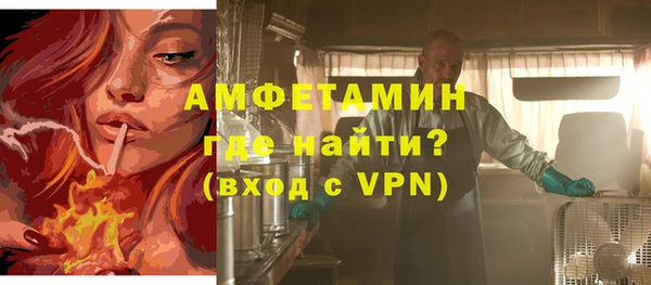 прущие грибы Аркадак