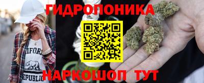 a pvp Лесосибирск