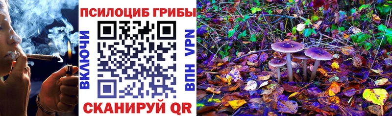 даркнет сайт  Георгиевск  МЕГА как зайти  Псилоцибиновые грибы GOLDEN TEACHER 