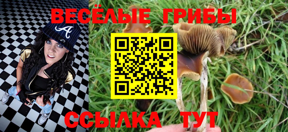 Гашиш  ГАШ  Вход с VPN  Cocaine  Георгиевск  МАРИХУАНА  МЕФ кристаллы 