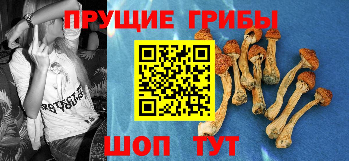 Псилоцибиновые грибы Magic Shrooms  Вход с VPN  Георгиевск 