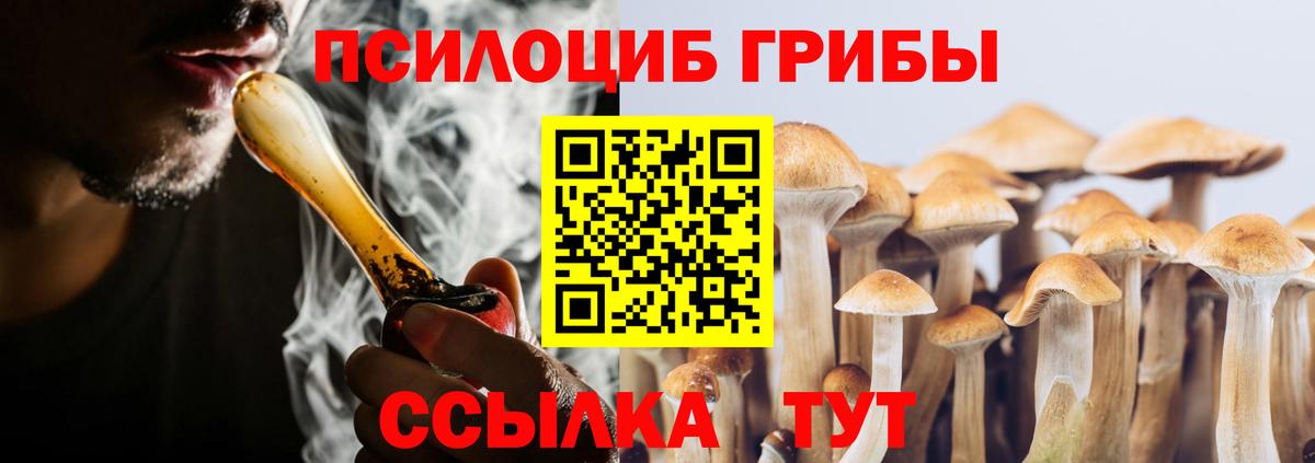 Галлюциногенные грибы Psilocybine cubensis Георгиевск